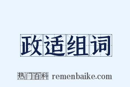 政适组词是什么意思的图片